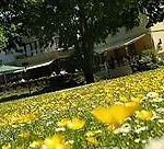 尼尔斯公园酒店 特里尔
