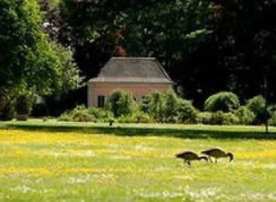 מלון Nells Park
