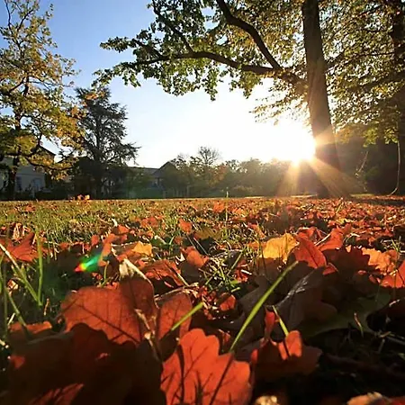 Nells Park Trier