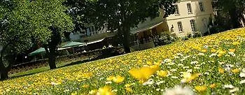 Nells Park Трир