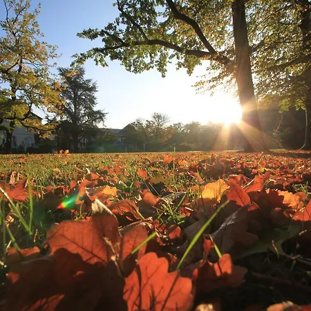 Отель Nells Park 4*