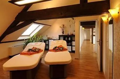 Nells Park Hotel Trevír